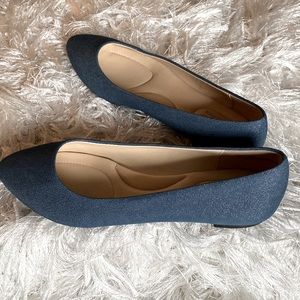Coach and Four Women’s Juliette Chambray with Metallic Shimmer Pointed Toe Flats